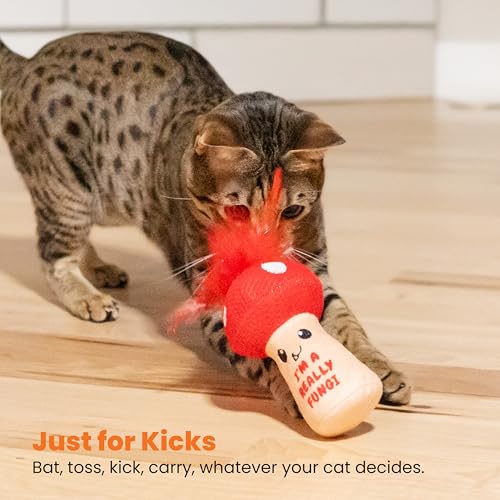 Image of Catstages A Really Fungi Cat Kicker Toy with Catnip and Dental Mesh, Mushroom Shape, Plush and Feather Cat Toy for Kicking, Tossing, and Teeth Cleaning, Red