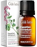 Gya Labs Egyptian Geranium Essential Oil - 0.34 Fl Oz - for Hair, Skin, Diffuser, Aromatherapy & DIY Candle Making Scent