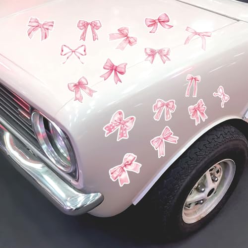 Imanes decorativos de lazo rosa para refrigerador 16 piezas miniatura 7