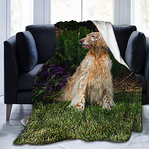 Blanket Female English Setter by Flowers Fleece Blanket Foldrable Throw Blanket Washable Couch Sofa Fuzzy Blanket Reversible Plush Blanket Beach Blanket for Home Office