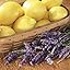 Lemon Lavender