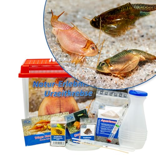 AQ4Aquaristik Triops Natur-Erlebnis-Set Urzeitkrebse mit Becken, Zuchtansatz, Zubehör, Aktivboden, Aufzucht- und Hauptutter, ausführliche Anleitung