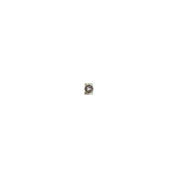 Priyaasi Elegant American Diamond Nose Ring for Women & Girls| Bridal Nath for Women | Leaf Drop Design | Small | Gold Nose Ring (Plated) - Image 3