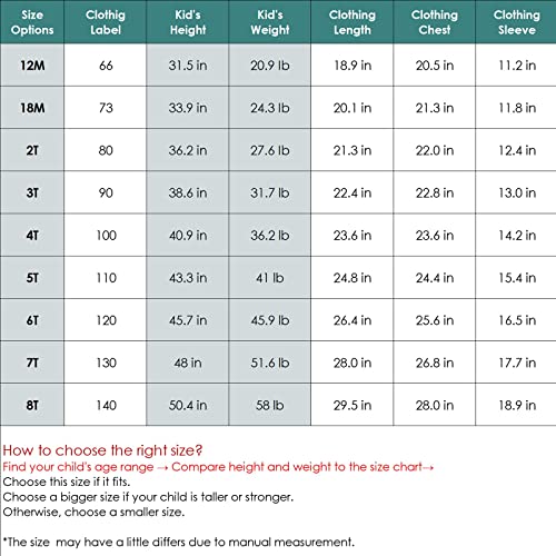 Curipeer Baby Girls Long Sleeve Floral Dress Flower Printed Smock Toddler Ruffle Dress For Autumn And Spring Blue 5T #TOP6