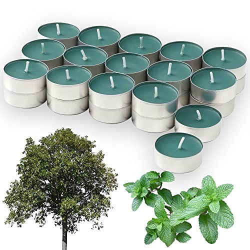 Velas perfumadas de candelita - menta fresca del bosque - hasta 4 horas de combustión - Paquete de 30 Cover