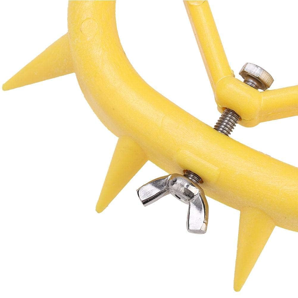 10pcs Anneaux de nez de veau-sevrage Bovins en plastique Vache de sevrage Outil de sevrage de vache Anneau à piquer Bovine Clip de nez Traite Stop Anti-Sucer La Traite Stop Produits Agricoles