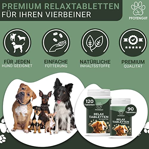 PFOTENGUT® Relax Tabletten 120 Stück [Made in Germany] - Hunde Beruhigungsmittel mit Taigawurzel, Baldrian & Hanfpulver - Natürliches Beruhigungsmittel für Hunde - Verbesserte Version 2023