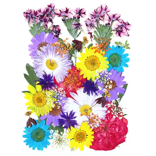 Flores secas prensadas 35 piezas para manualidades miniatura 1