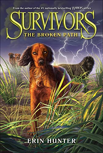 The Broken Path (Survivors) view 2