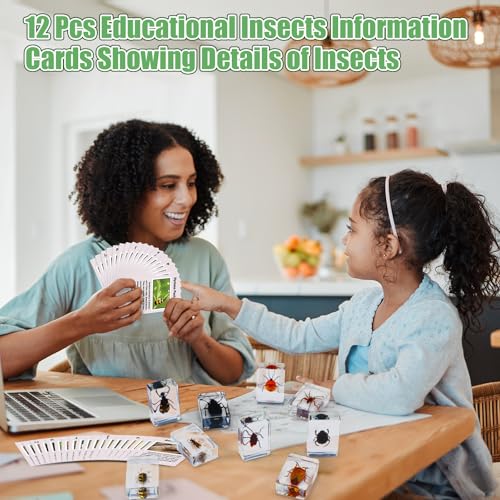 Image of GlikCeil 12 Pcs Insect in Resin Specimen Bugs Discovery Kit Collection Paperweight Bug with Information Flash Cards Preserved in Resin with 10x Magnifier for Scientific Educational Display Supplies