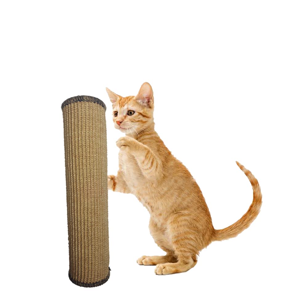 Mats Avenue Multi Purpose Cat Scratcher and Claw pad Hand Made Sisal Fabric and Paper Core for Protecting Furniture and Sofas from Cat Scratching 10X40 CM Large (B0B1XM4LQN) Amazon Price History, Amazon Price Tracker