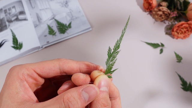 400 hojas de helecho secas prensadas para artesanía miniatura 7