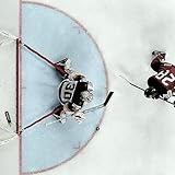 SPEEDSTER College/Pro Hockey Goalie Resistance Training System to Increase Strength, Agility, and Response Time - Made in USA