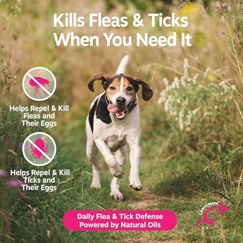 Image of Zesty Paws Flea and Tick Spray for Dogs - Kill Fleas, Ticks & Their Eggs - Veterinarian Formulated - Soothes Itchy & Irritated Dog Skin - Cedarwood Oil, Rosemary Oil & Peppermint Oil