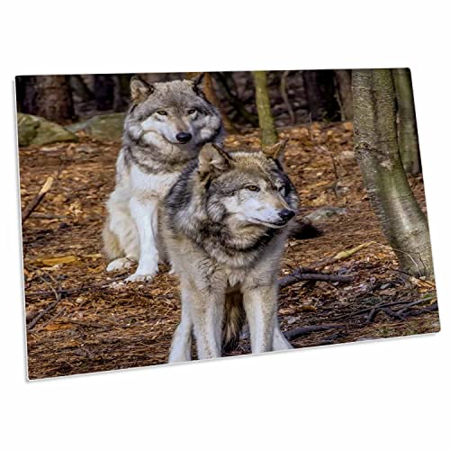 3dRose Desk Pad Place Mats Grande 23" x 16"