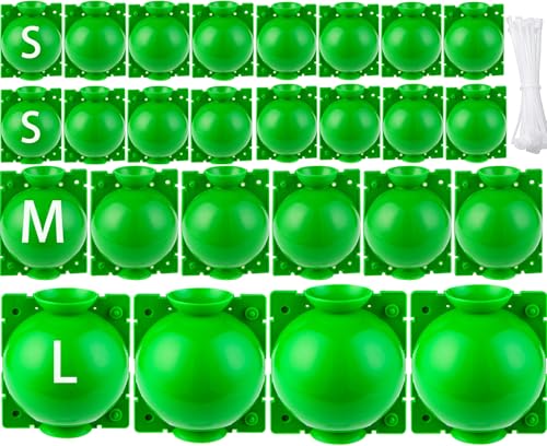 BEOIUCZZY 30 Piezas Dispositivo de Injerto de Plantas, Caja Cultivo Raíces Plantas Dispositivo de Enraizamiento de Plantas Propagadores De Jardinería Alta Presión Caja De Crecimiento (Verde)