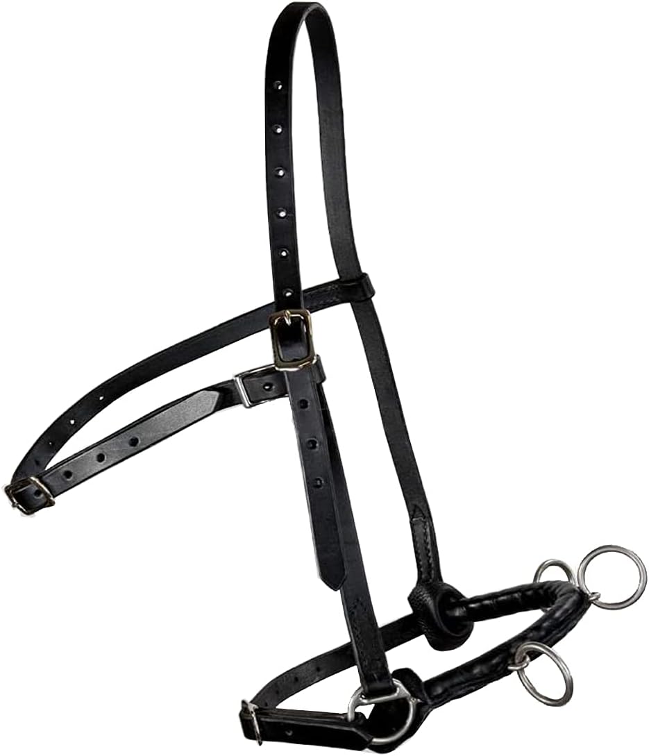 Spireriders Cavesson Riding Leather Lunging Bridle