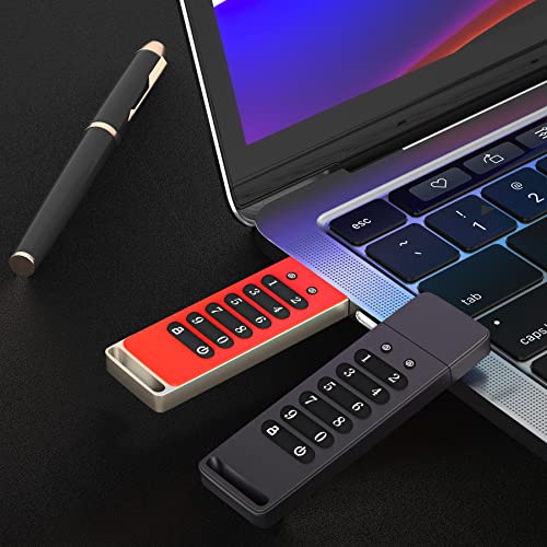 Image of INNOPLUS Secure Flash Drive 256-bit, 64GB Encrypted USB Drive, USB 3.0 Hardware Encryption Flash Drive, Password Protected Flash Drive, Compatible for MAC /Windows /Linux /Embedded System-Gray