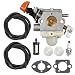 Hilom Carburetor for Stihl FS40 FS50 FS56 FS70 FC56 FC70 Replaces Zama C1M-S267A 4144 120 0608