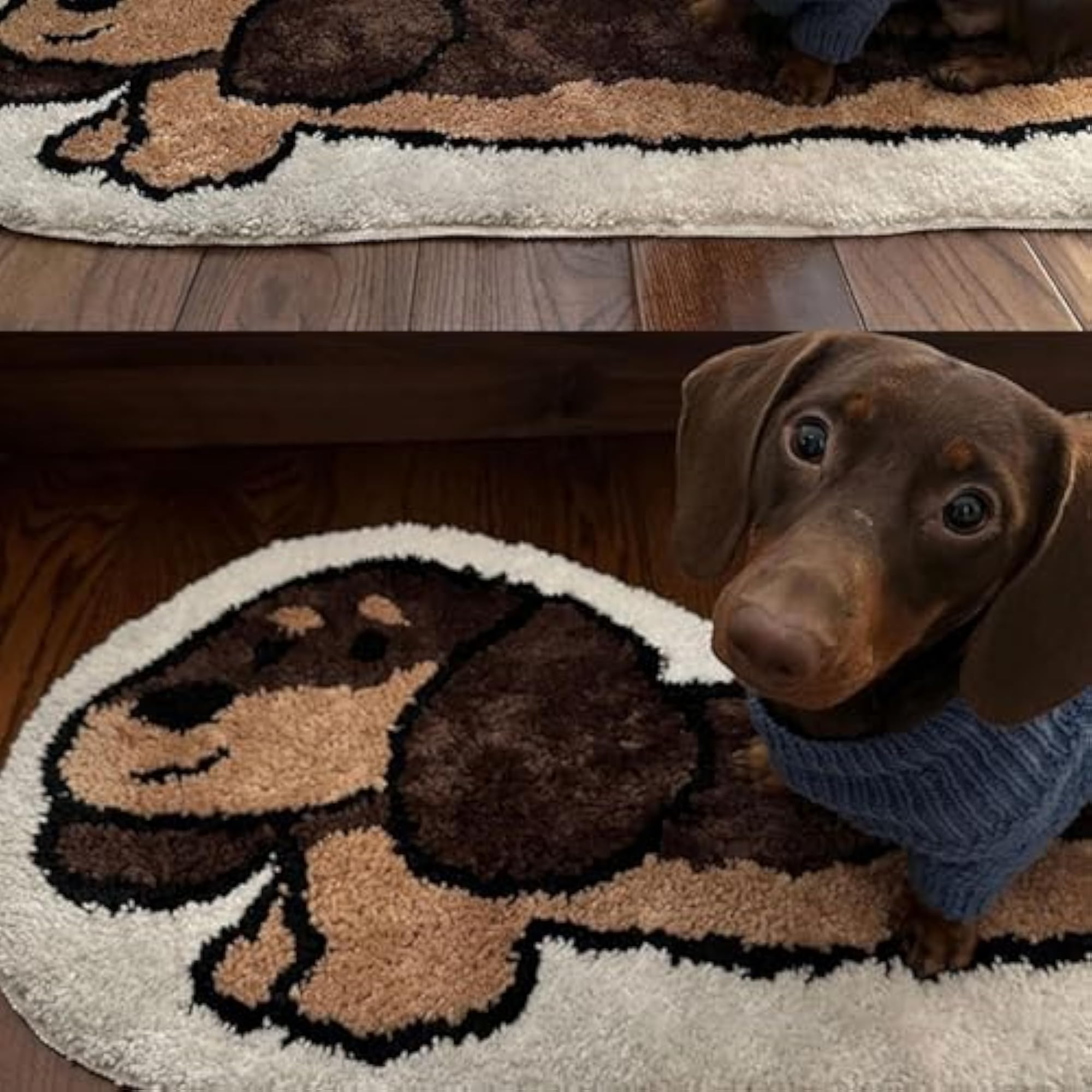 Dachshund Rug Non Slip Home Decor Mat