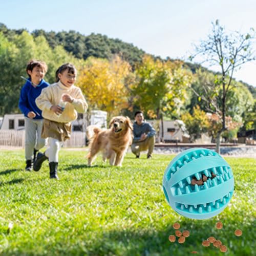 Miaomiao Spielsachen-Set mit Futterball und Snackball aus Naturkautschuk - Zahnpflege für Kleine, Mittelgroße und Große Hunde