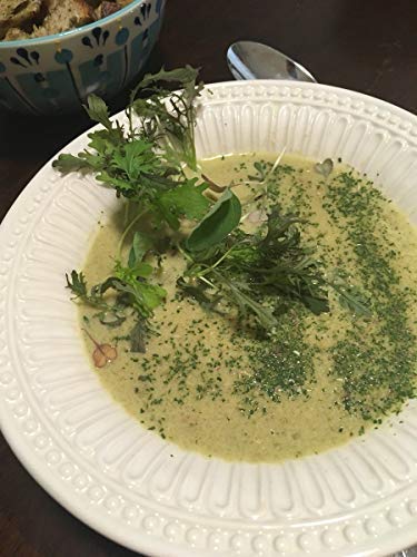 Dr. Cowan's Garden Leek Powder, With Organic Leeks; In Miron Glass Jar. Usa Grown, 50 Servings #TOP6