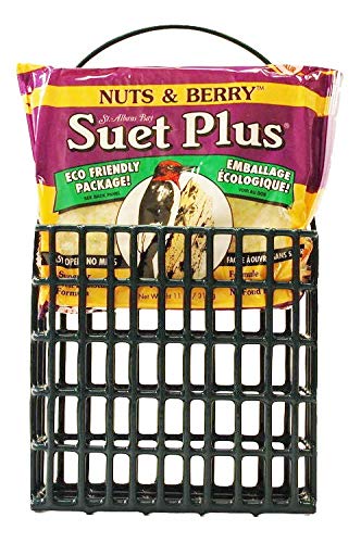 Wildlife Sciences Suet Feeder Cage Suet Cake Combo for Wild Birds | Includes 1 Suet Feeder and 11 Ounce Nuts and Berry Cake