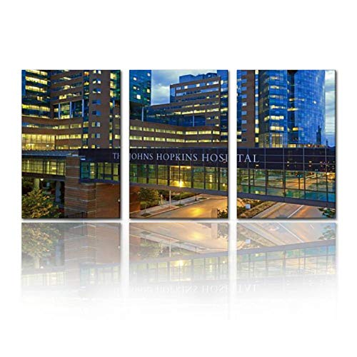 SALIZEN The Johns Hopkins Hospital 3 Pieces Wall Art Paintings Perfect Canvas Art Vivid Color Modern Style Home, Living Room, Bedroom, Hotel Decoration Gift SALIZEN The Johns Hopkins Hospital 3 Pieces Wall Art Paintings Perfect Canvas Art Vivid Color Modern Style Home, Living Room, Bedroom, Hotel Decoration Gift