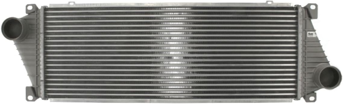 Nissens 96842 Intercooler, charger