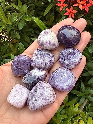 Image of GAF TREASURES 1 /2 LB Lepidolite Tumbled Stones, Polished Lepidolite Gemstone, Lepidolite Healing Crystals (Lepidolite)