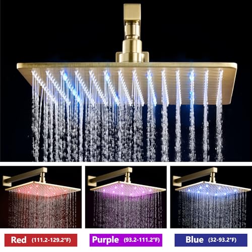 Ensemble de robinet de douche mural complet avec kit de garniture et mitigeur