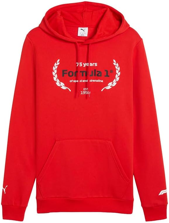 PUMA Mens F1 Essentials Logo Graphic Hoodie Casual Outerwear Casual - Red