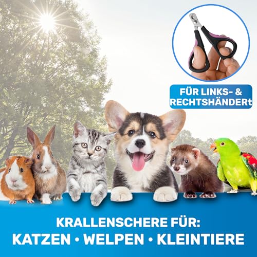 BluePet Mini Krallenschere für Katzen, Hunde, Kaninchen & Welpen I Einfach & Sicher bei engsitzenden Katzenkrallen I Kleiner Krallenschneider & Nagelschere I Nagelschneider + Krallenpflege Tier