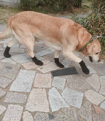 LONSUNEER Dog Boots Breathable, Dog Booties Protecting Dog's Paws, Dog Shoes with Soft and Nonslip Soles, Set of 4, Color Black Size Medium