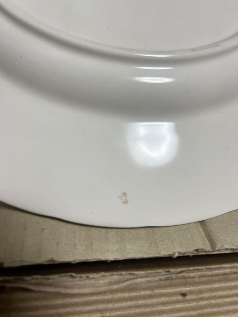 ノリタケ サロンセット ANNIE BERRY