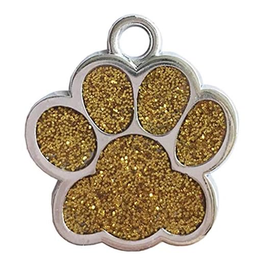 NGHSDO Hundbricka 2 st dropshipping tass gravering hund id-bricka halsband rostfritt stål hänge ID bricka namn telefon husdjur hund berlock tillbehör 2 (färg: Guld, storlek: Samll)