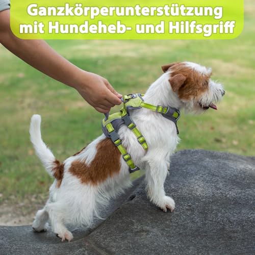 Huntboo Sicherheitsgeschirr Hund Ausbruchsicher, Panikgeschirr für Hunde, Reflektierendes Geschirr Hund mit Griff, Verstellbare Hundegeschirr für kleine, mittelgroße und große Hunde (Hellgrün,XS)
