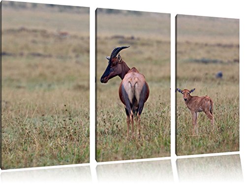 Pixxprint Hartebeest Rosso con i Giovani Stampa su...