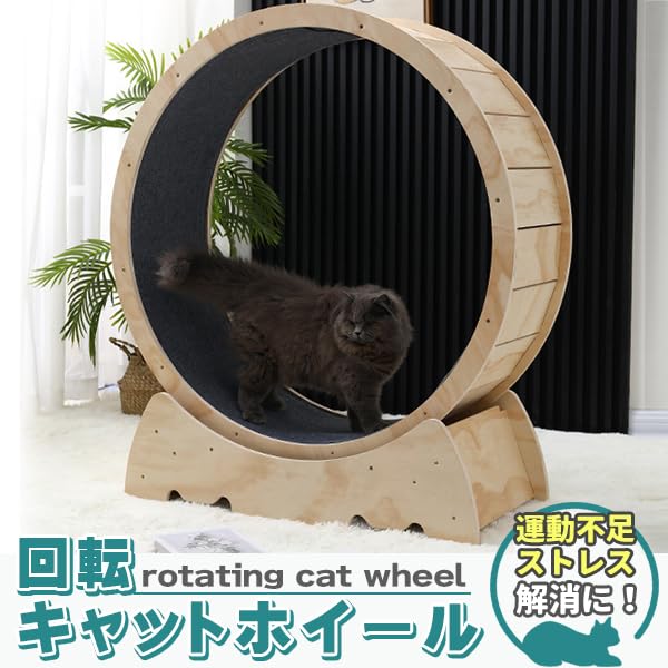 キャットホイール Amazon.co.jp: キャットホイール 猫専用ルームランナー 猫 回し車 猫