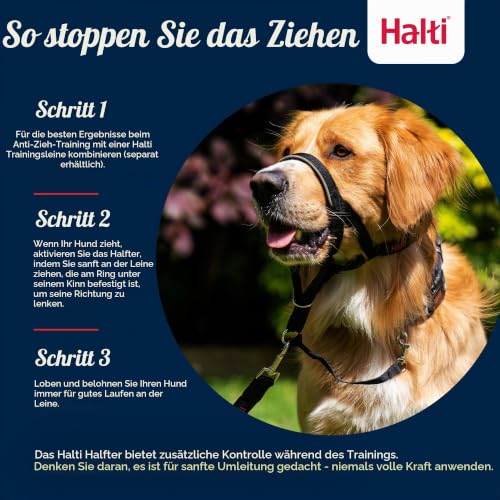 Halti Kopfgeschirr für Hunde | Größe 3, Rot