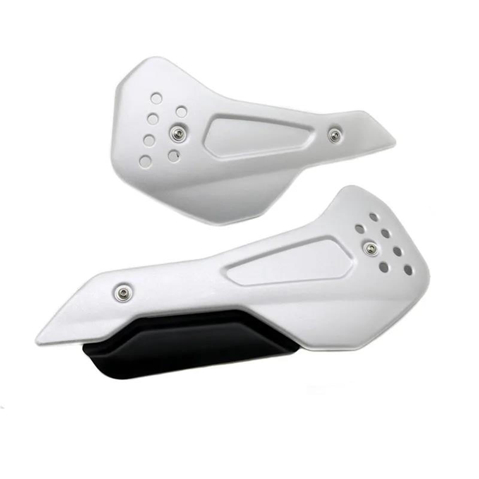 Protezione Alloggiamento Piastra Ventrale Motore Accessori