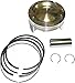 WSM Piston Kit (1494cc) - Standard Bore 100.96mm 010-862-07K
