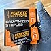 Renewed Warriors T50 Galvanized Staples - Heavy Duty 3/8