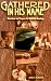 Gathered in His Name: Devotions and Prayers for Christian Meetings (Faith Alive Series)