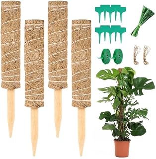 Vicloon Nauczyciel roślin, 4 szt. Kokos, 30 cm, składany, wspinaczka, do przedłużania roślin monstera, stojak na rośliny