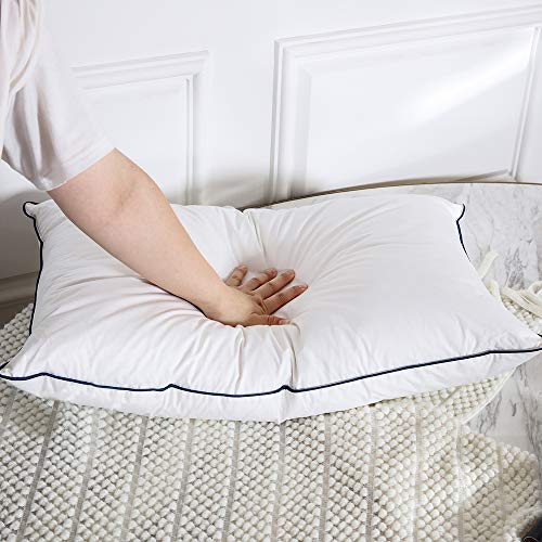 Dorrin Nessin Goose Down Pillows for Sleeping (Set of 2,Queen Soft), White Goose