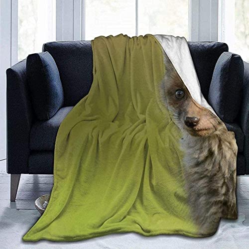 okuya Cub Baby Touch Warm Flanell Fleece Decken Überwürfe für Sofa Flauschige Decke Bett Überwurf für Schlafzimmer, Couch, Reisen, Kinder, Schlafzimmer Zubehör 203 x 152 cm warm und gemütlich Cover