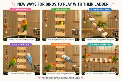 Image of Raindrops Bird Cage Climbing Ladder Toy - Wooden Hanging Exercise & Enrichment Toy with Colorful Beads for Budgies|Cage Accessories|Wooden Ladder|Birds Chew Toy (Height 12 inch)