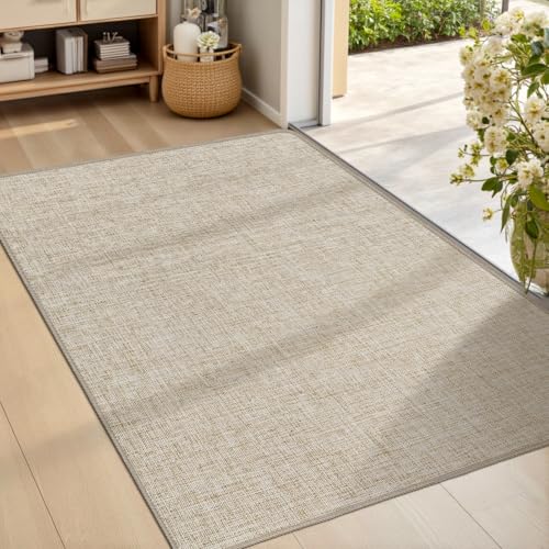 LEKEEPGO Ultra Thin Indoor Door Mat 24