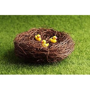 Exasinine 10 Pcs 5.5'' Artificial Bird Nest for Crafts, Easter, Party, Wedding, Patio Garden, Succulent Planter, Moss Landscape, DIY Terrarium and Spring Vignettes (5.5 Inches) Exasinine 10 Pcs 55 Artificial Bird Nest for Crafts Easter Party Wedding Patio Garden Succulent Planter Moss Landscape DIY Terrarium and Spring Vignettes 55 Inches